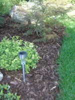 /album/fotogalerie-doplnky-do-zahrad1/solarni-svetlo-kura-kameny-v-zahonu-jpg/